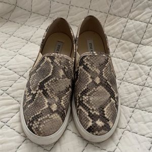 Steve Madden Snakeskin Slip ons